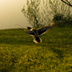Image for article titled Shooting Challenge: Golden Hour Gallery 2